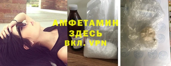 твердый Бородино