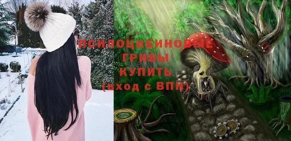 а пвп мука Бугульма
