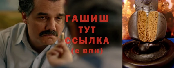 спиды Богородицк