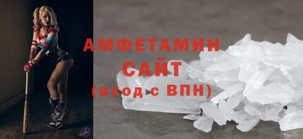 твердый Бородино