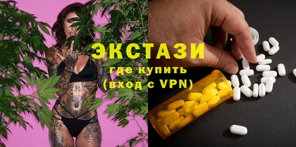 спиды Богородицк