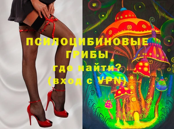спиды Богородицк