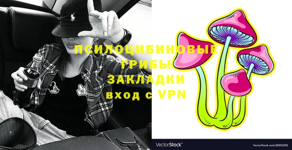 марки lsd Богданович
