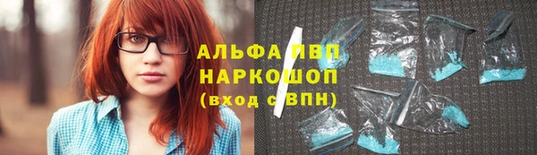 спиды Богородицк