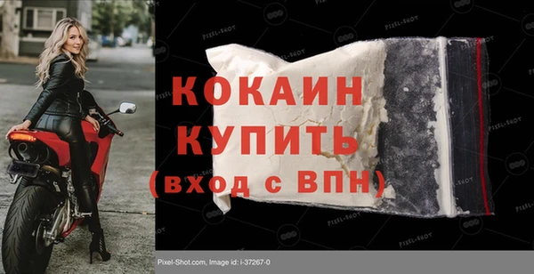 твердый Бородино
