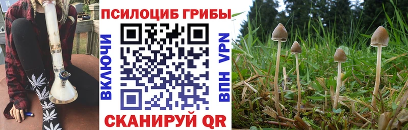 сайты даркнета официальный сайт  hydra вход  Кузнецк  Галлюциногенные грибы Psilocybine cubensis 