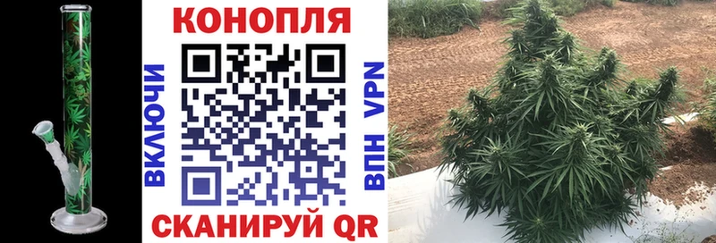 Марихуана тримм  Кузнецк 